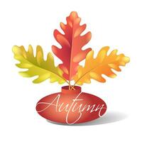 Autumn bright oak leaves in a vase, isolated on white background vector