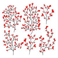 hand drawn leaves. hand drawn leaf. branches with leaves. hand drawn of branch and leaf. Set of branches with leaves. vector