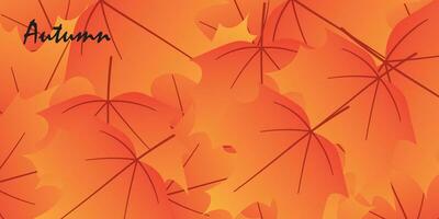 Abstract background design with autumn theme. vector