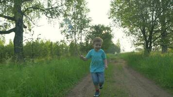 pequeño niño con pala-red corriendo en el país video