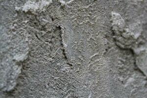 Uneven cement and sand wall texture background, grungy cement wall surface, rustic sand wall photo