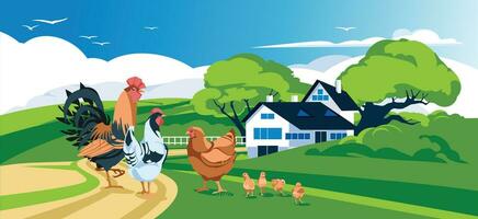 view of the farm in the middle of a green meadow. Agriculture and harvesting. Pets. Rooster, chickens, chicks. Vector flat illustration