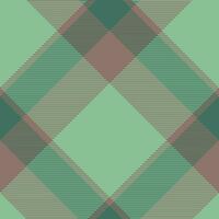 Plaid pattern vector. Check fabric texture. Seamless textile design for clothes, paper print. vector