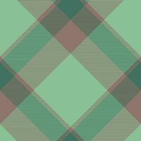 Plaid pattern vector. Check fabric texture. Seamless textile design for clothes, paper print. vector