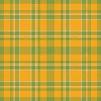 Plaid seamless pattern. Check fabric texture. Vector textile print.