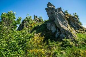 un rocoso colina con arboles y arbustos foto