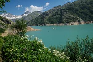 Swiss Alps landscape photo