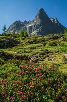 Swiss Alps landscape photo