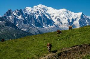 francés Alpes paisaje foto