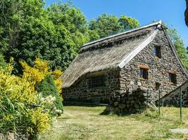 toit de chaume en auvergne photo