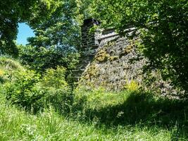 toit de chaume en auvergne photo