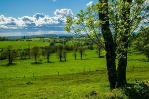 Natural Park of Auvergne Volcanoes photo