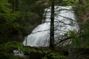 Natural Park of Auvergne Volcanoes photo