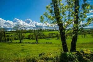 Natural Park of Auvergne Volcanoes photo