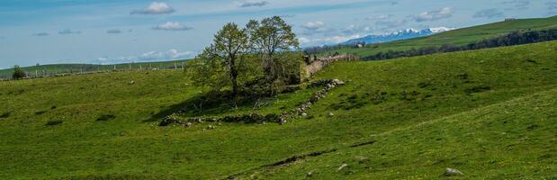 Natural Park of Auvergne Volcanoes photo