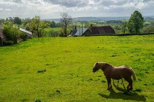 Natural Park of Auvergne Volcanoes photo