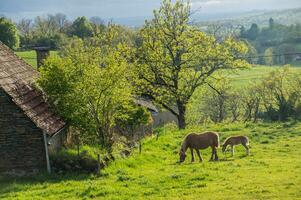 Natural Park of Auvergne Volcanoes photo