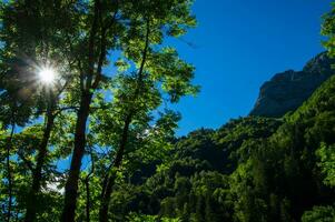 REGIONAL NATURAL PARK OF BAUGES photo