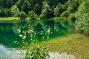 REGIONAL NATURAL PARK OF BAUGES photo