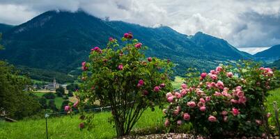 REGIONAL NATURAL PARK OF BAUGES photo