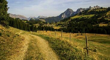 a dirt road in the mountains photo