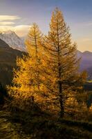 francés Alpes paisaje foto