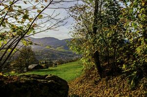 a bench sitting on a hillside overlooking a valley photo