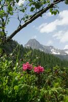 paisaje de el francés Alpes foto