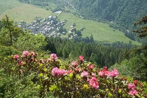 Landscape of the French Alps photo