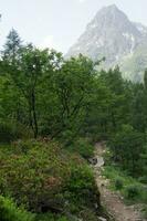 Landscape of the French Alps photo