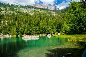 Landscape of the Alps in France in summer photo