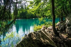 paisaje de el Alpes en Francia en verano foto