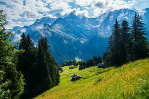 paisaje de el Alpes en Francia en verano foto