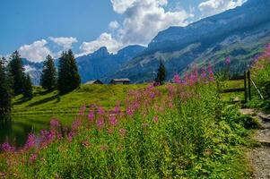 Landscape of the Alps in Switzerland in summer photo