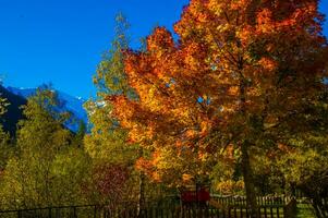 otoño en las montañas foto