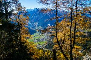 pago des alpes suisse en automne foto