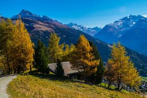 paysage des alpes suisse en automne photo