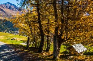 pago des alpes suisse en automne foto