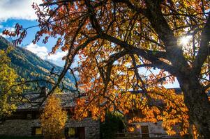 otoño en el Alpes, Italia foto