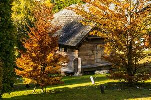 a small house with a tree in front of it photo