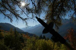 autumn in the alps, italy photo