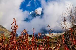 otoño en el Alpes, Italia foto