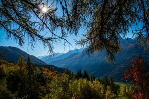 paysage des alpes suisse en automne photo