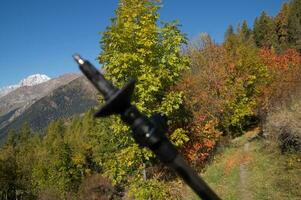 paysage des alpes suisse en automne photo