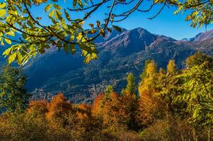 paysage des alpes suisse en automne photo