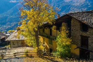 paysage des alpes suisse en automne photo