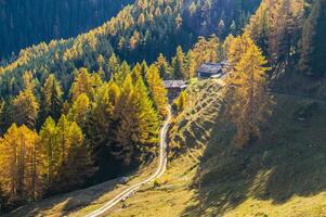 pago des alpes suisse en automne foto