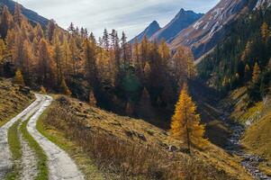 pago des alpes suisse en automne foto