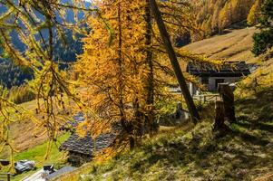 paysage des alpes suisse en automne photo