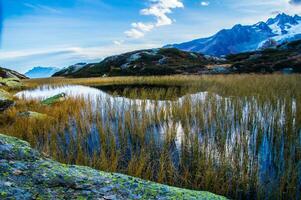 un montaña lago rodeado por césped y rocas foto